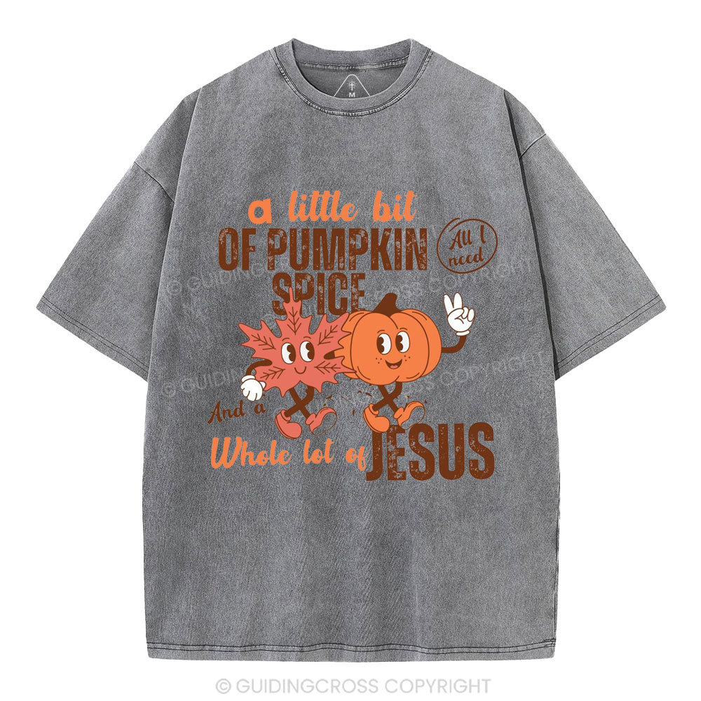 A Little Bit Of Pumpkin Spice And A Whole Lot Of Jesus Christian Washed T-Shirt