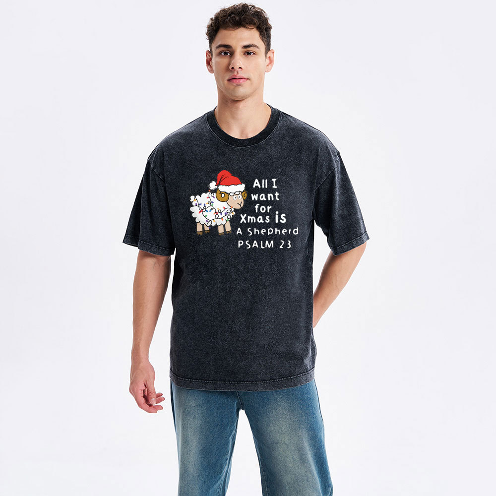 ALL I Want For XMAS Is Shepherd Christian Washed T-Shirt