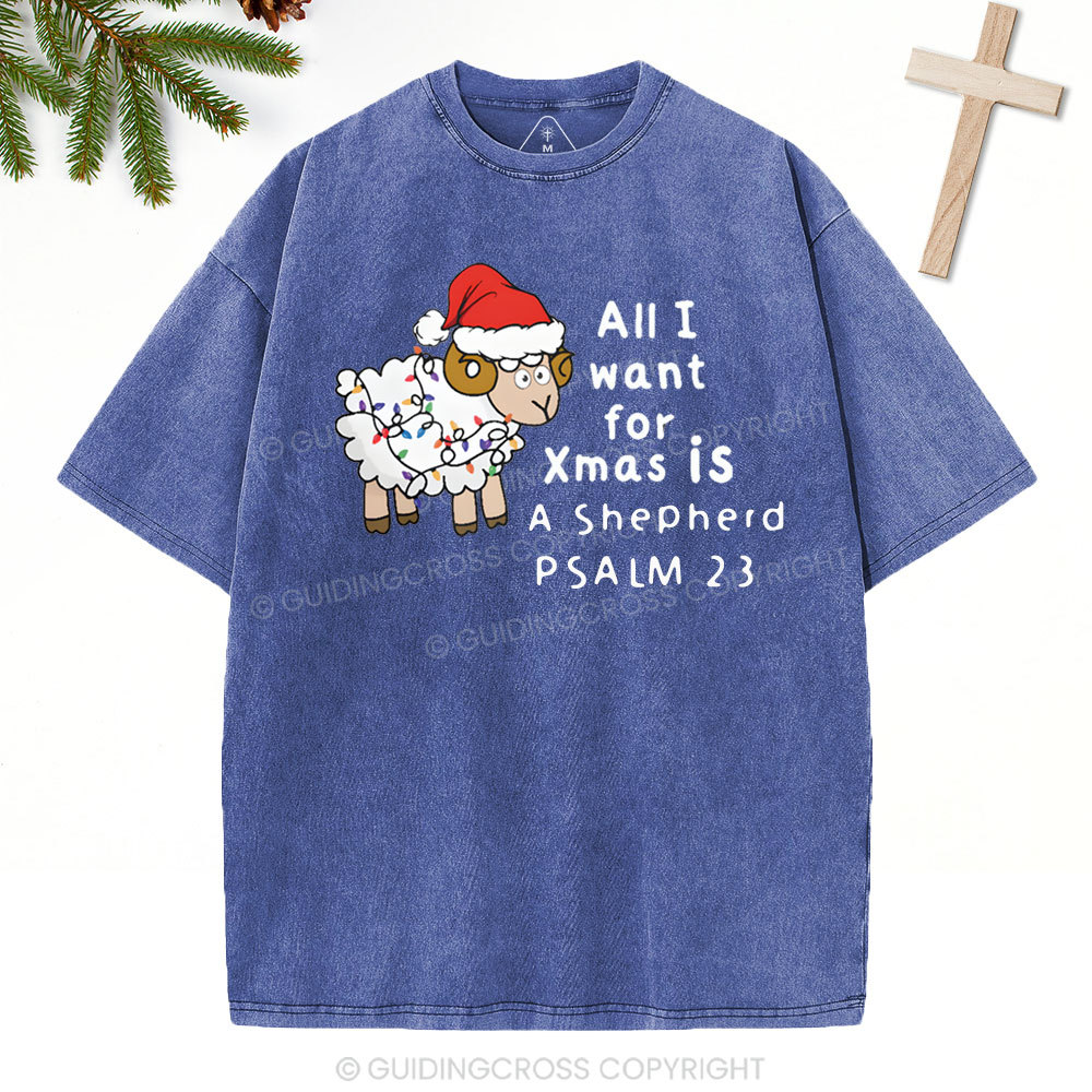ALL I Want For XMAS Is Shepherd Christian Washed T-Shirt