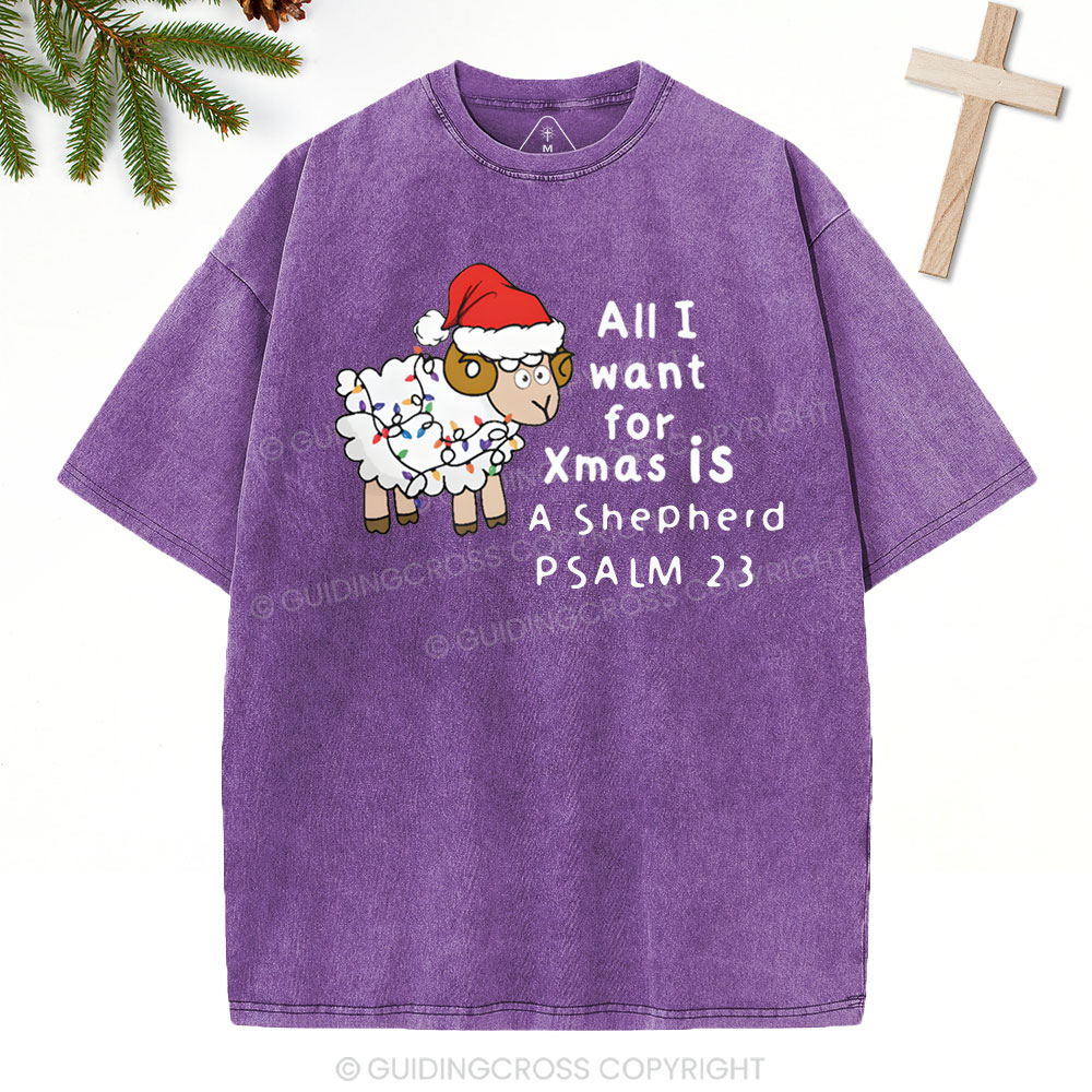 ALL I Want For XMAS Is Shepherd Christian Washed T-Shirt