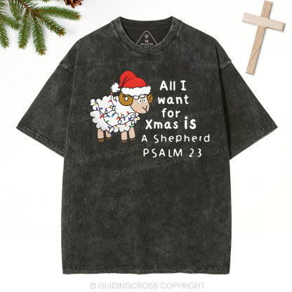 ALL I Want For XMAS Is Shepherd Christian Washed T-Shirt