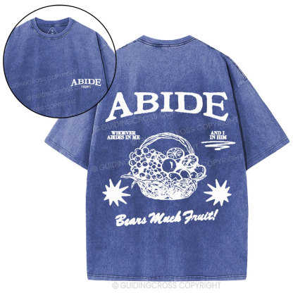 Abide In Him Christian Washed T-Shirt