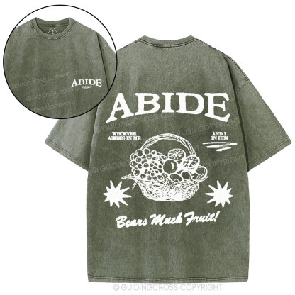 Abide In Him Christian Washed T-Shirt