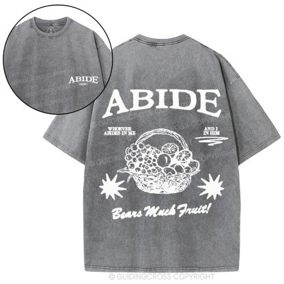 Abide In Him Christian Washed T-Shirt