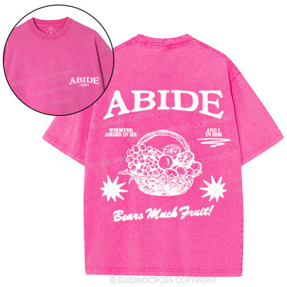Abide In Him Christian Washed T-Shirt