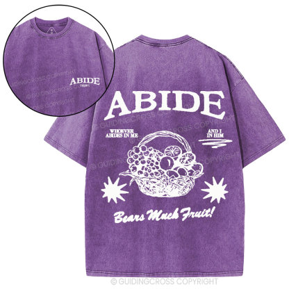 Abide In Him Christian Washed T-Shirt