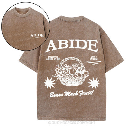 Abide In Him Christian Washed T-Shirt
