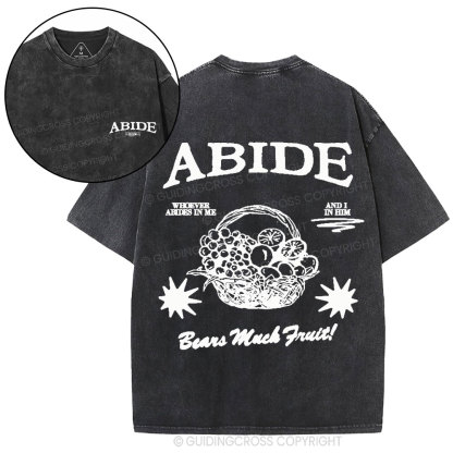 Abide In Him Christian Washed T-Shirt