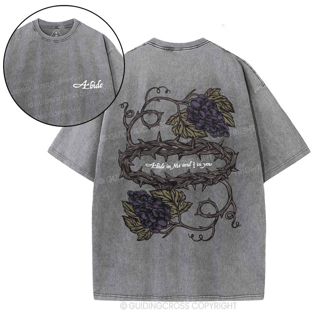 Abide In Me Christian Washed T-Shirt