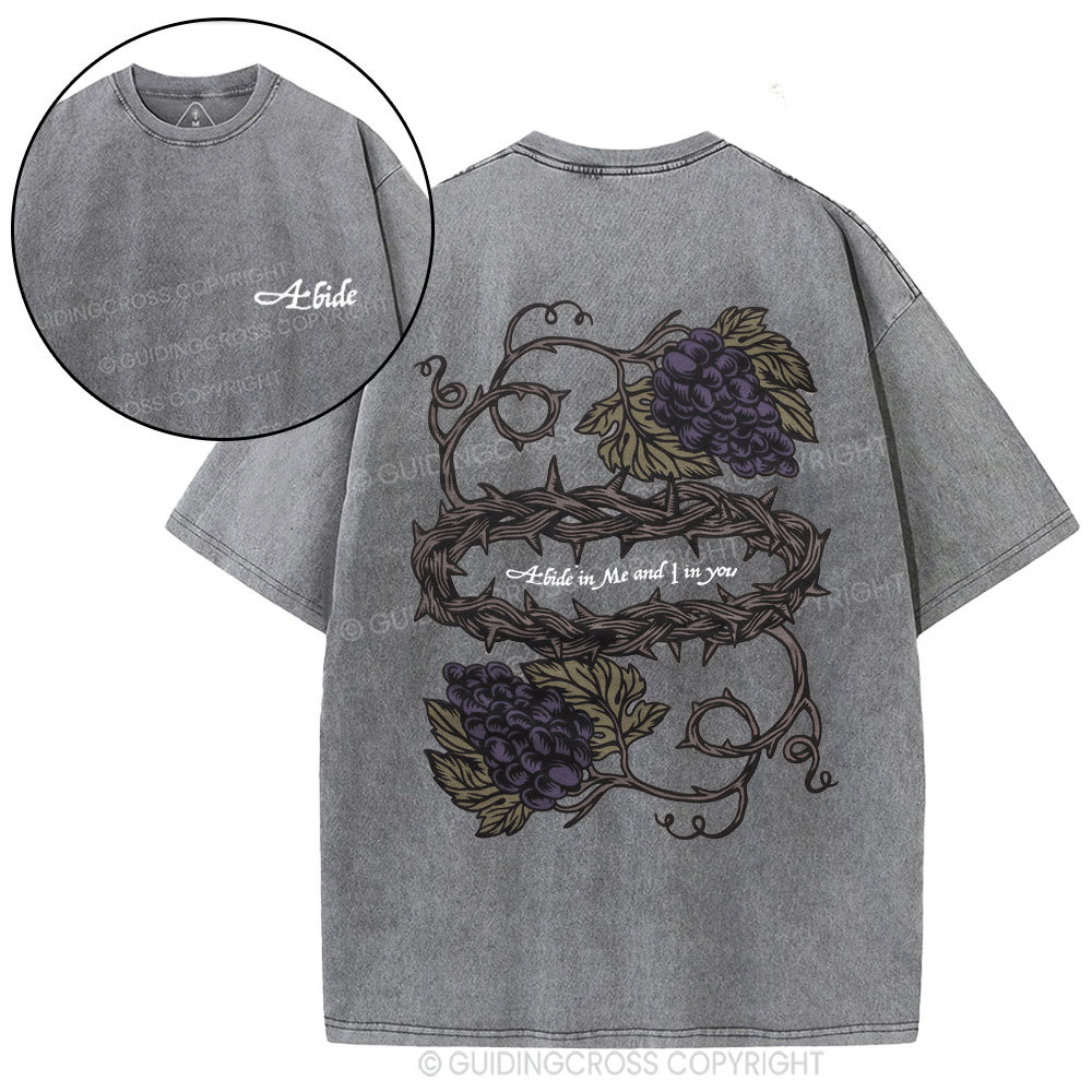 Abide In Me Christian Washed T-Shirt