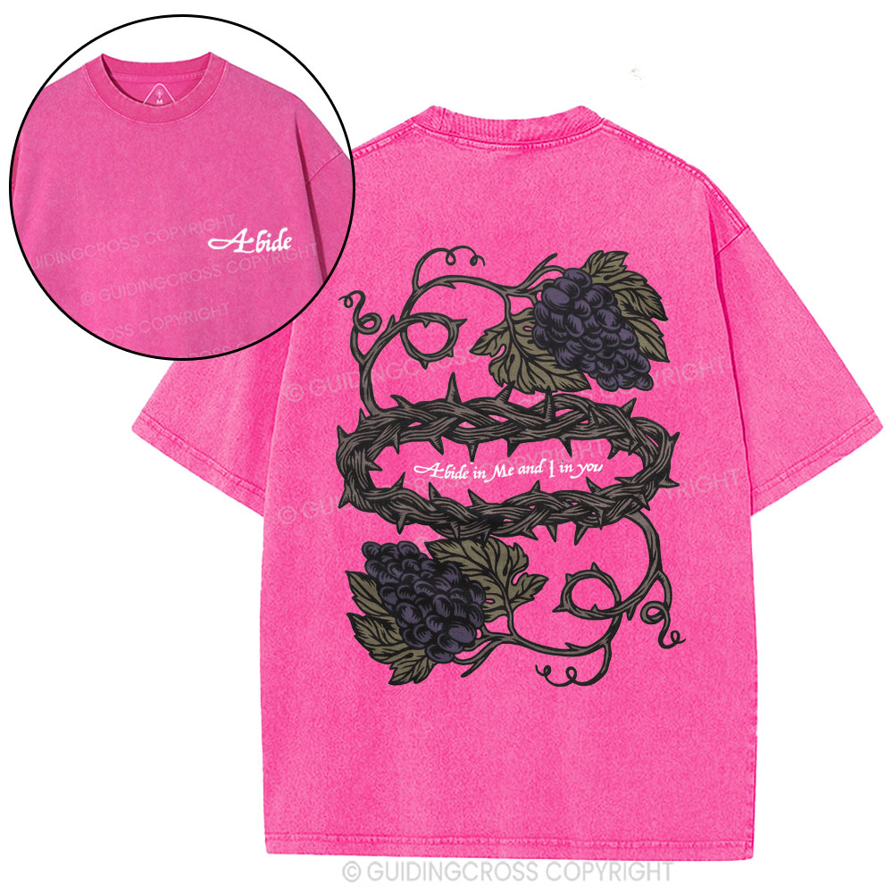 Abide In Me Christian Washed T-Shirt