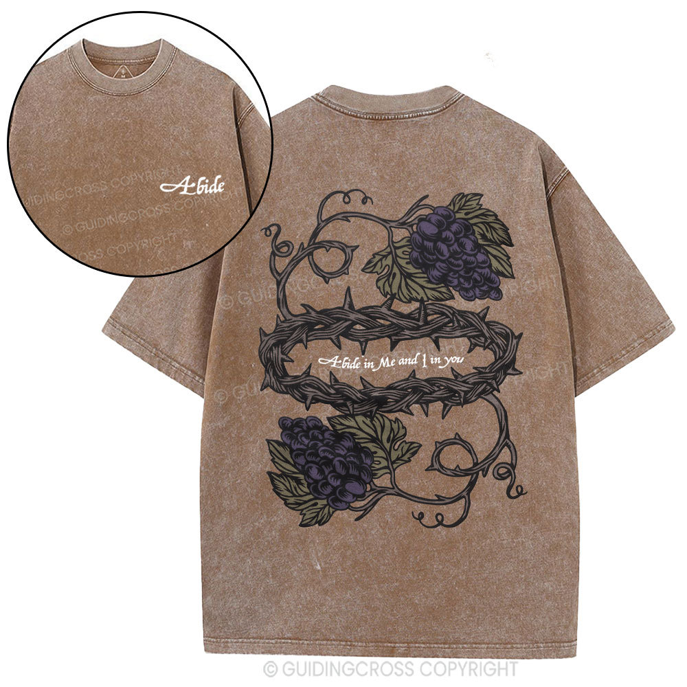 Abide In Me Christian Washed T-Shirt