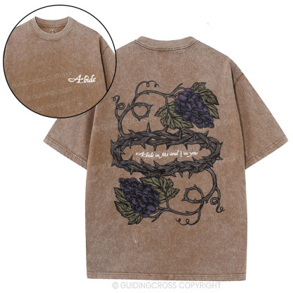 Abide In Me Christian Washed T-Shirt