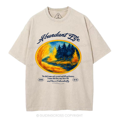 Abundant Life Christian Washed T-Shirt