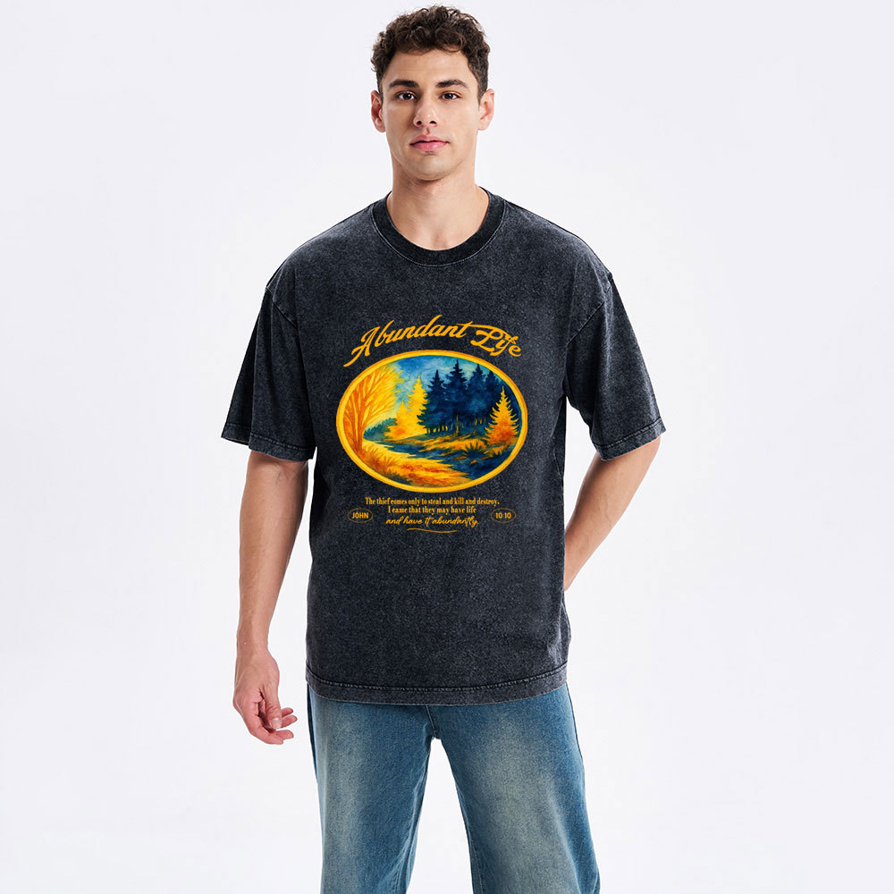 Abundant Life Christian Washed T-Shirt