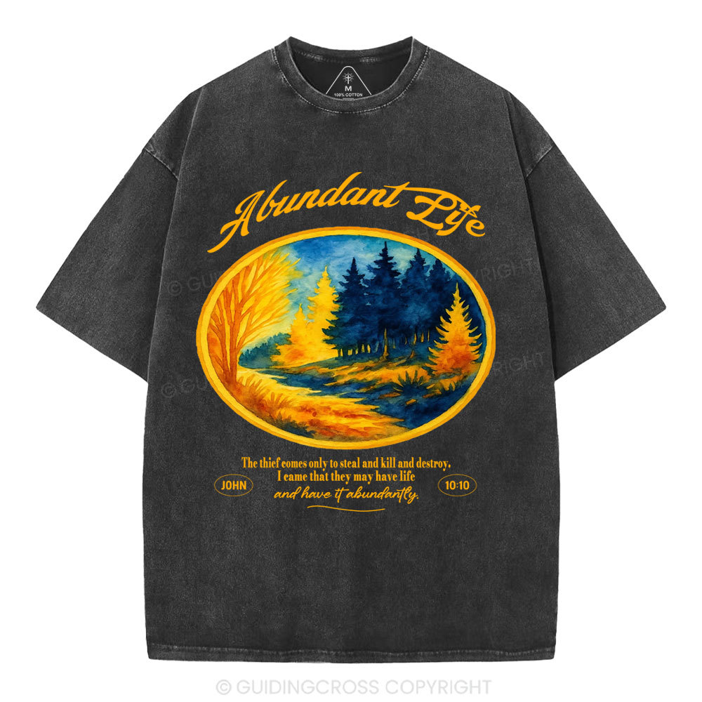 Abundant Life Christian Washed T-Shirt