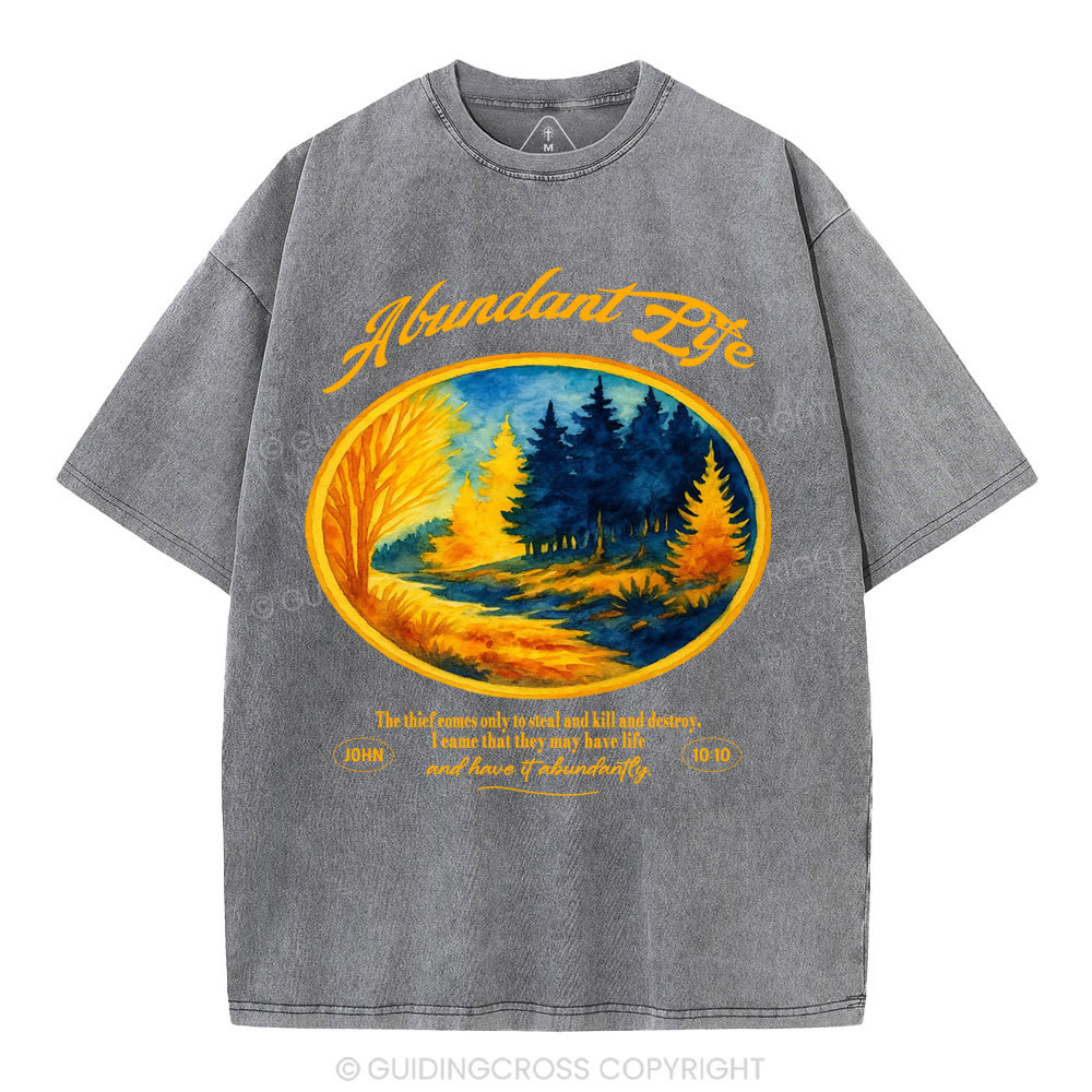 Abundant Life Christian Washed T-Shirt