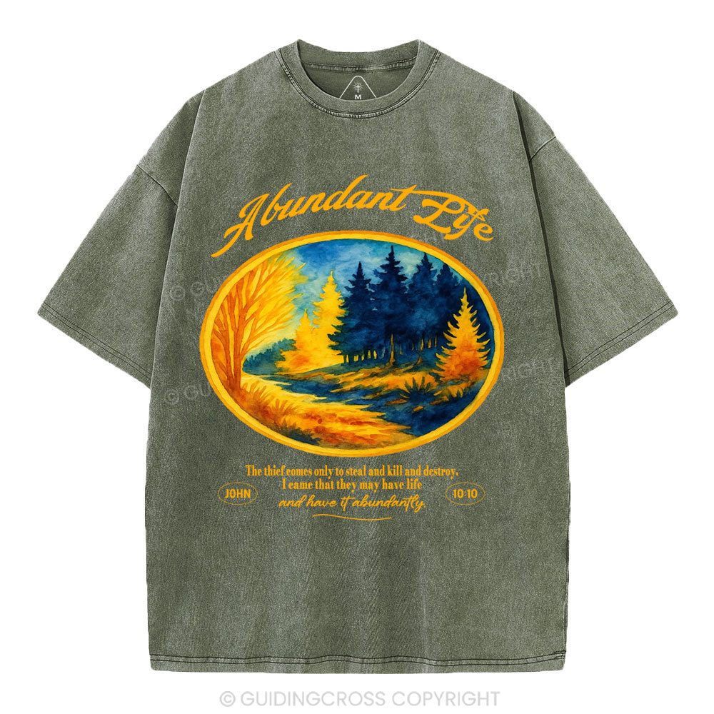 Abundant Life Christian Washed T-Shirt