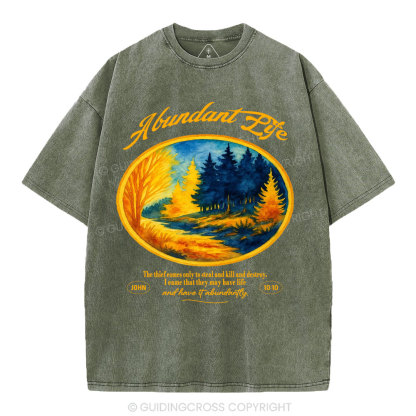 Abundant Life Christian Washed T-Shirt