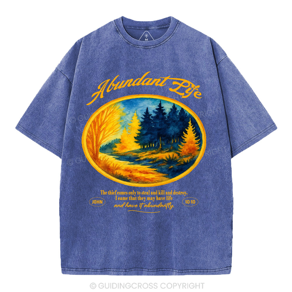 Abundant Life Christian Washed T-Shirt