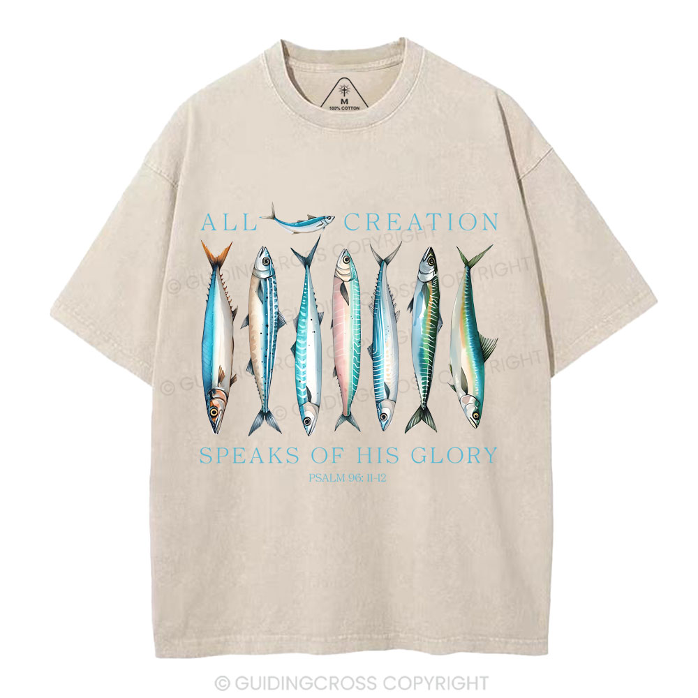 All Creation Speaks Of His Glory Christian Washed T-Shirt