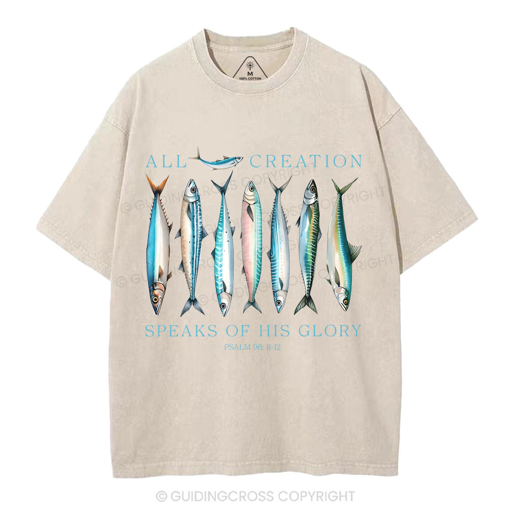 All Creation Speaks Of His Glory Christian Washed T-Shirt