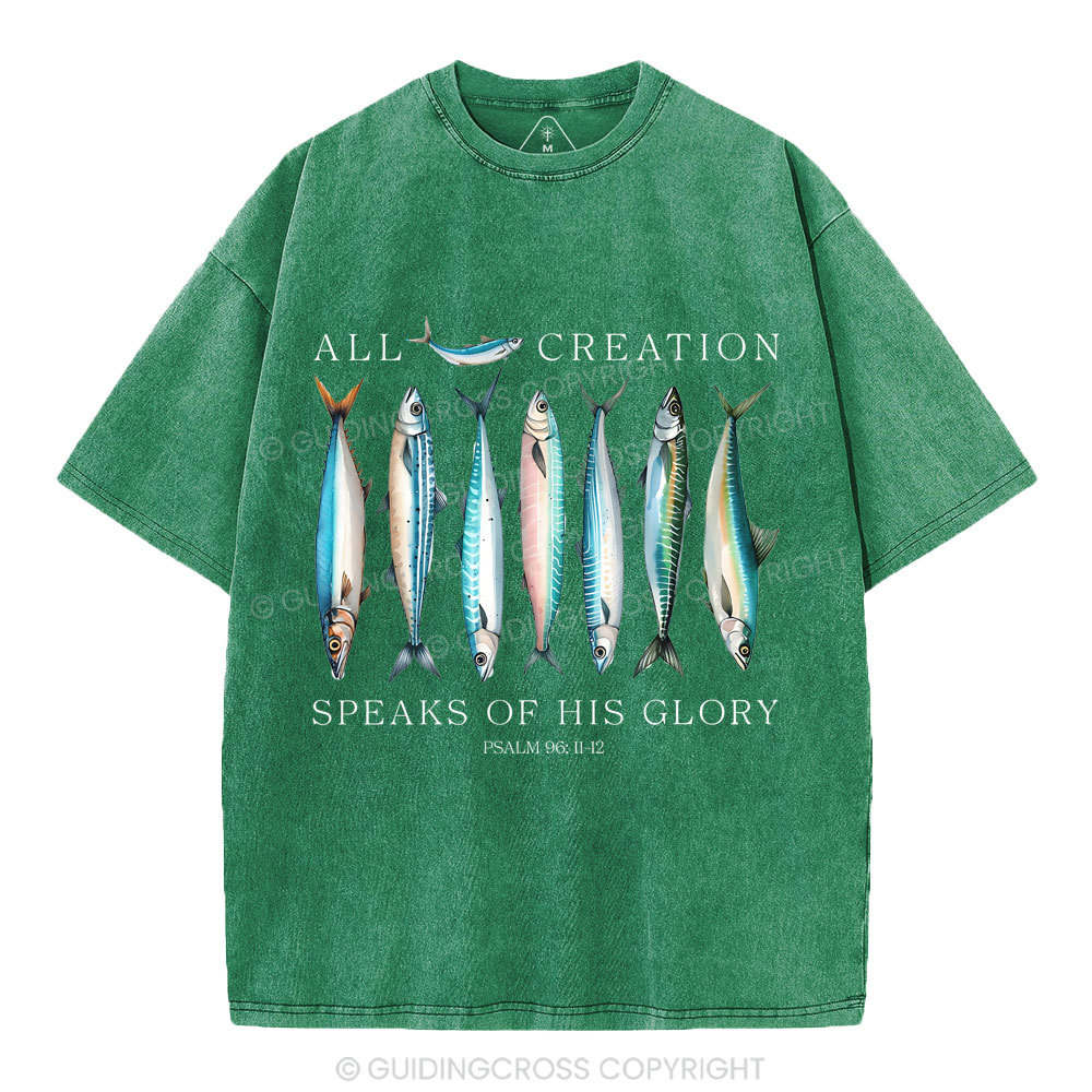 All Creation Speaks Of His Glory Christian Washed T-Shirt