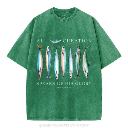 All Creation Speaks Of His Glory Christian Washed T-Shirt