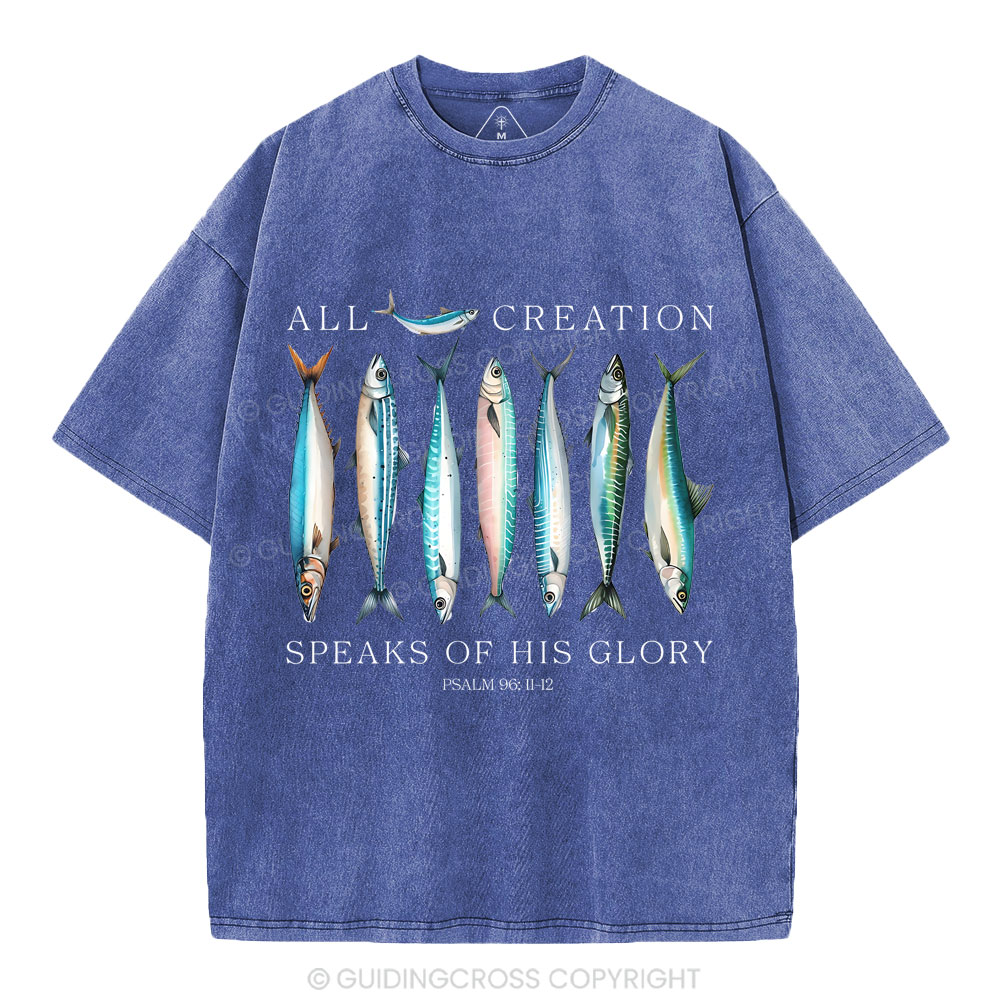 All Creation Speaks Of His Glory Christian Washed T-Shirt