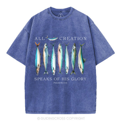 All Creation Speaks Of His Glory Christian Washed T-Shirt