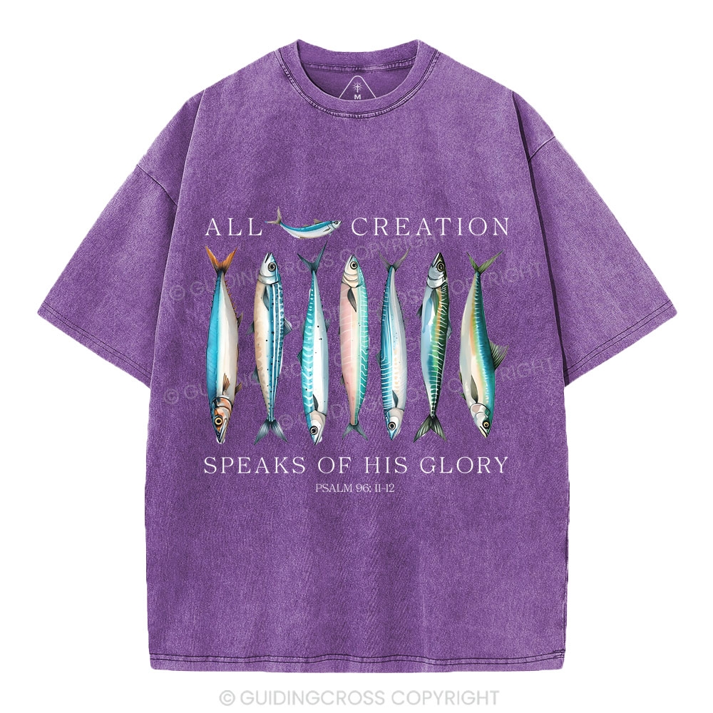 All Creation Speaks Of His Glory Christian Washed T-Shirt