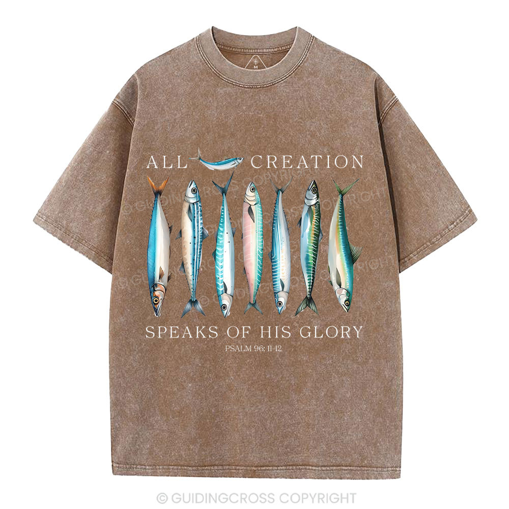 All Creation Speaks Of His Glory Christian Washed T-Shirt