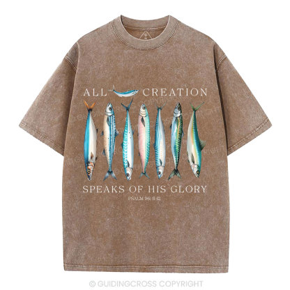 All Creation Speaks Of His Glory Christian Washed T-Shirt