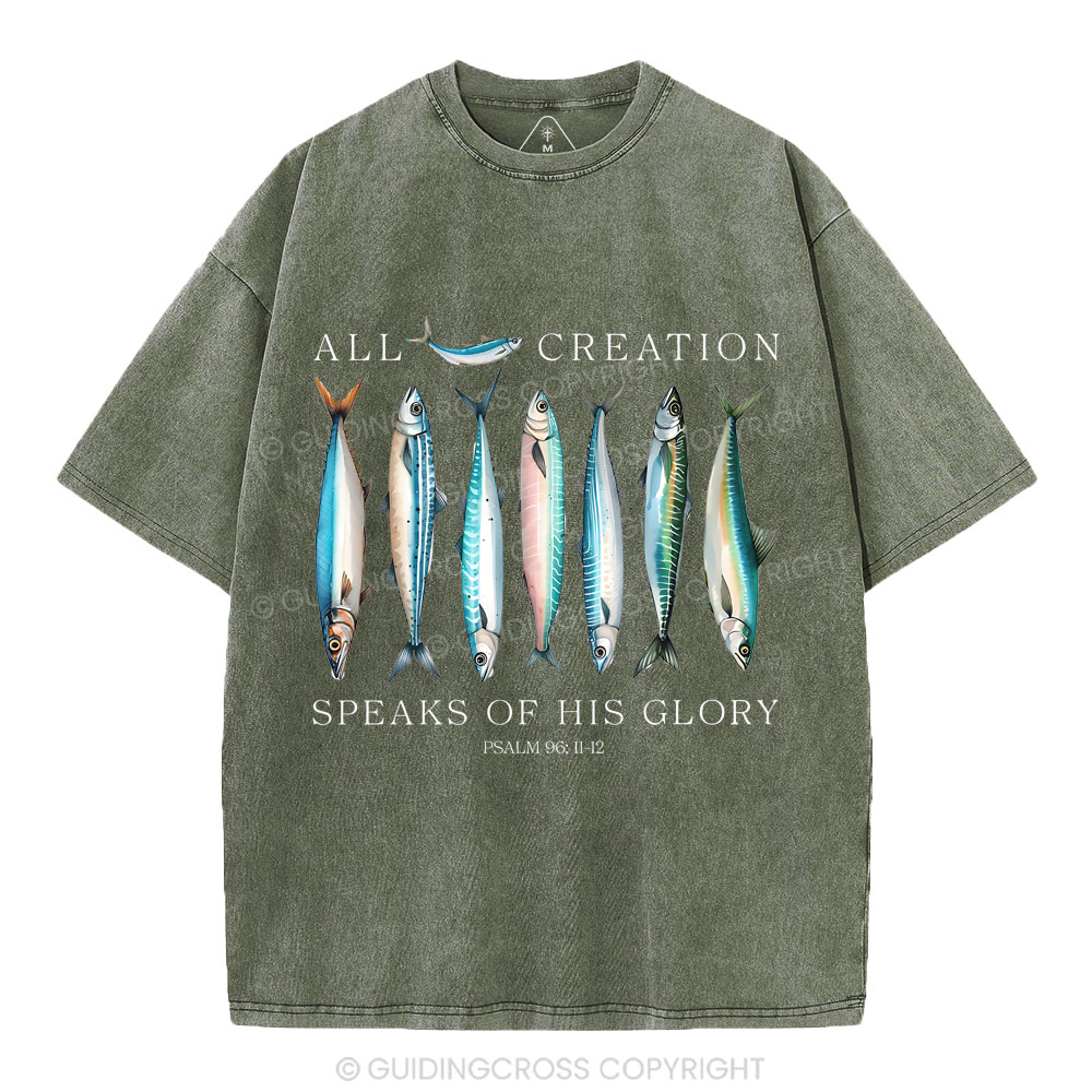 All Creation Speaks Of His Glory Christian Washed T-Shirt