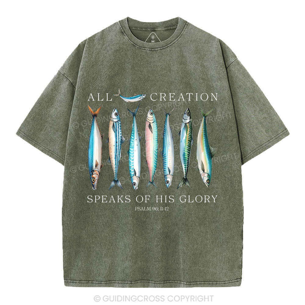All Creation Speaks Of His Glory Christian Washed T-Shirt