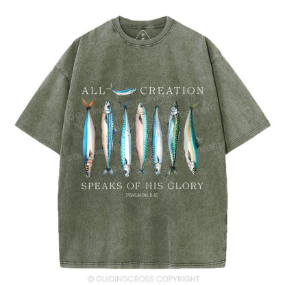 All Creation Speaks Of His Glory Christian Washed T-Shirt