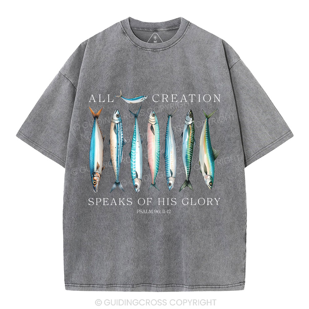 All Creation Speaks Of His Glory Christian Washed T-Shirt