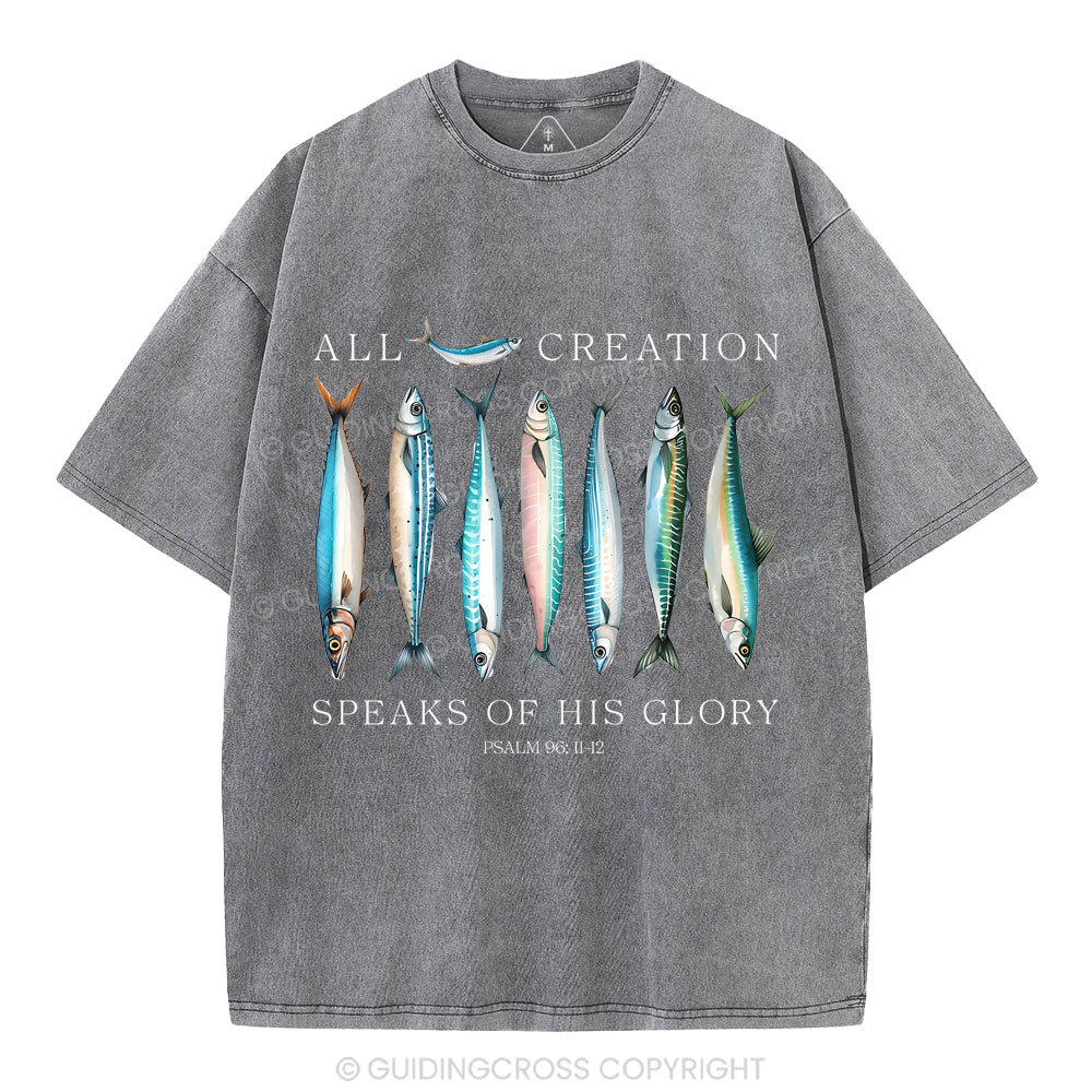 All Creation Speaks Of His Glory Christian Washed T-Shirt