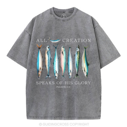 All Creation Speaks Of His Glory Christian Washed T-Shirt