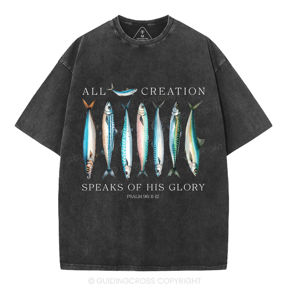 All Creation Speaks Of His Glory Christian Washed T-Shirt