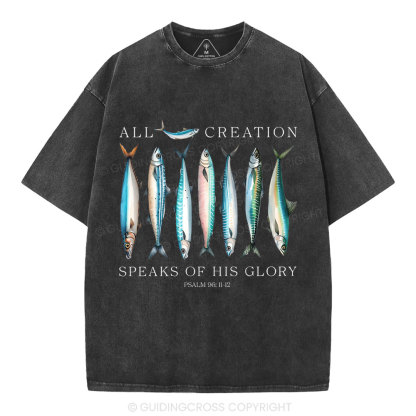 All Creation Speaks Of His Glory Christian Washed T-Shirt