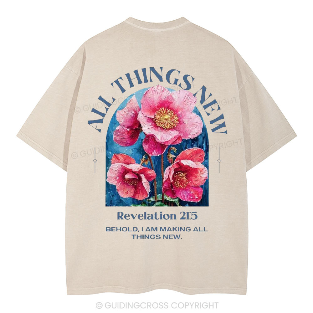 All Things New Behold  Christian Washed T-Shirt