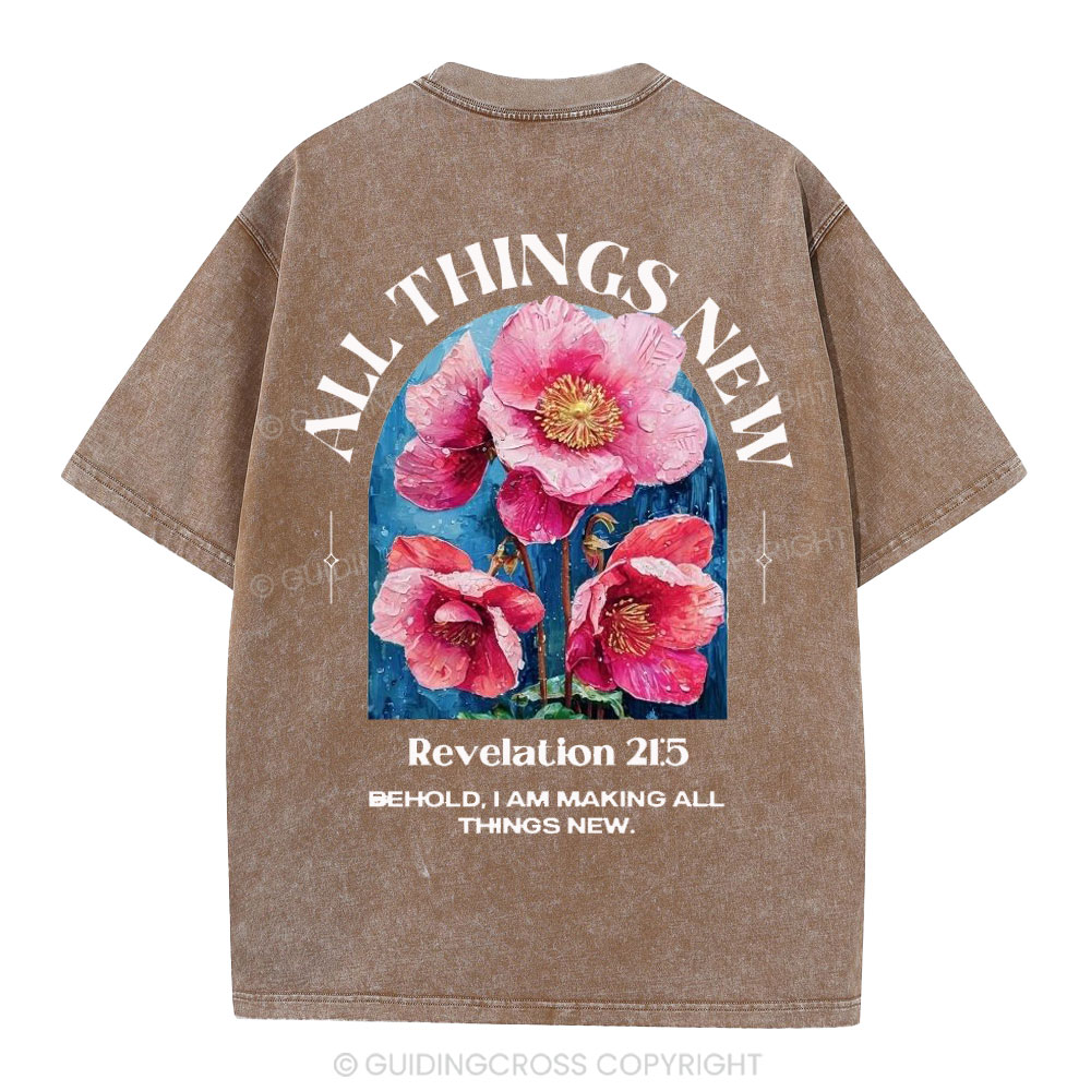 All Things New Behold  Christian Washed T-Shirt