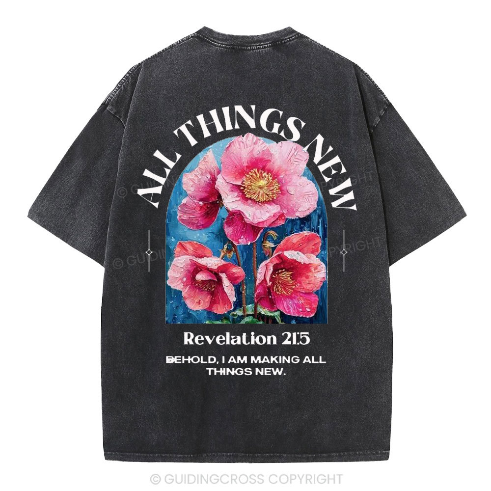 All Things New Behold  Christian Washed T-Shirt