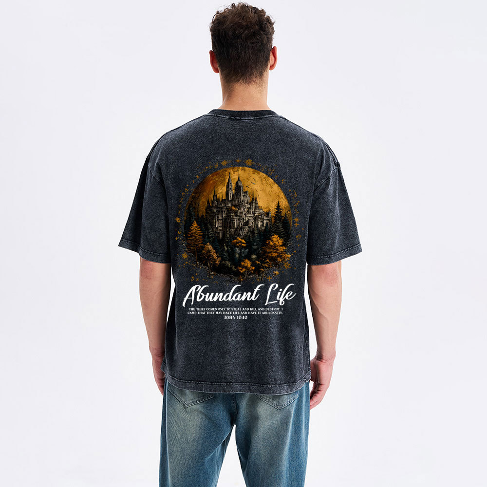 Alundant Life Christian Washed T-Shirt
