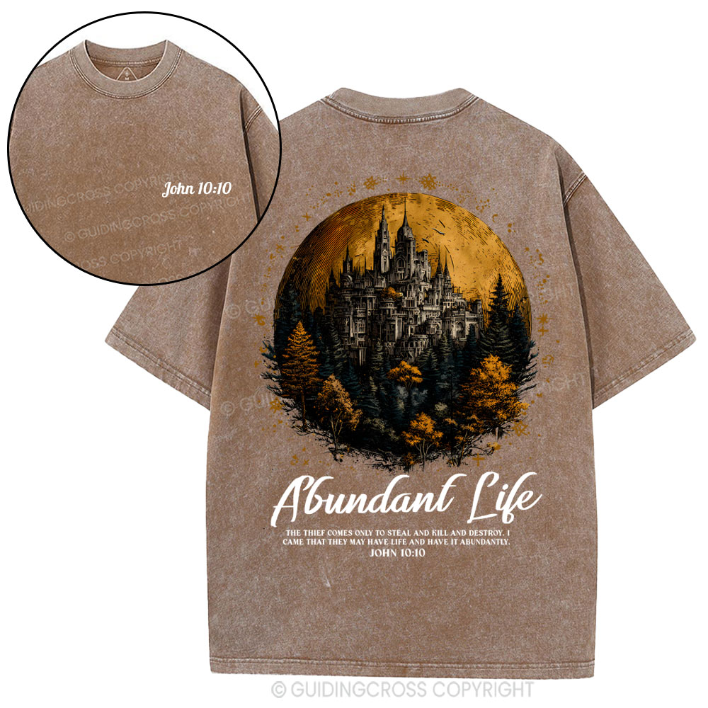Alundant Life Christian Washed T-Shirt