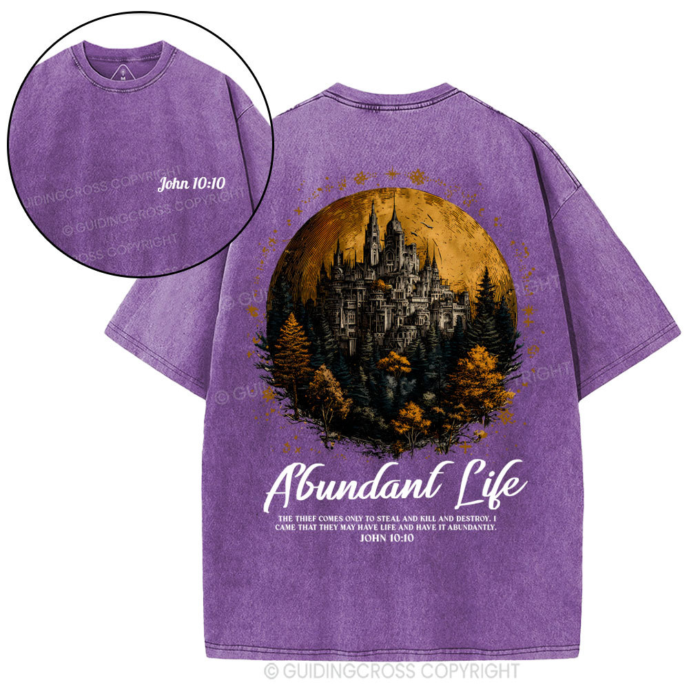 Alundant Life Christian Washed T-Shirt