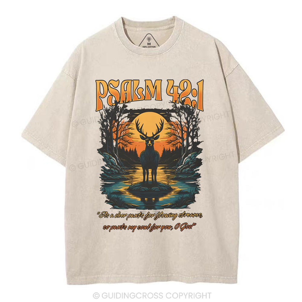 sample washed T-Shirt Sale - GuidingCross