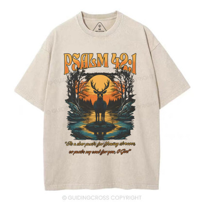 As A Deer Pants Chirstian Washed T-Shirt