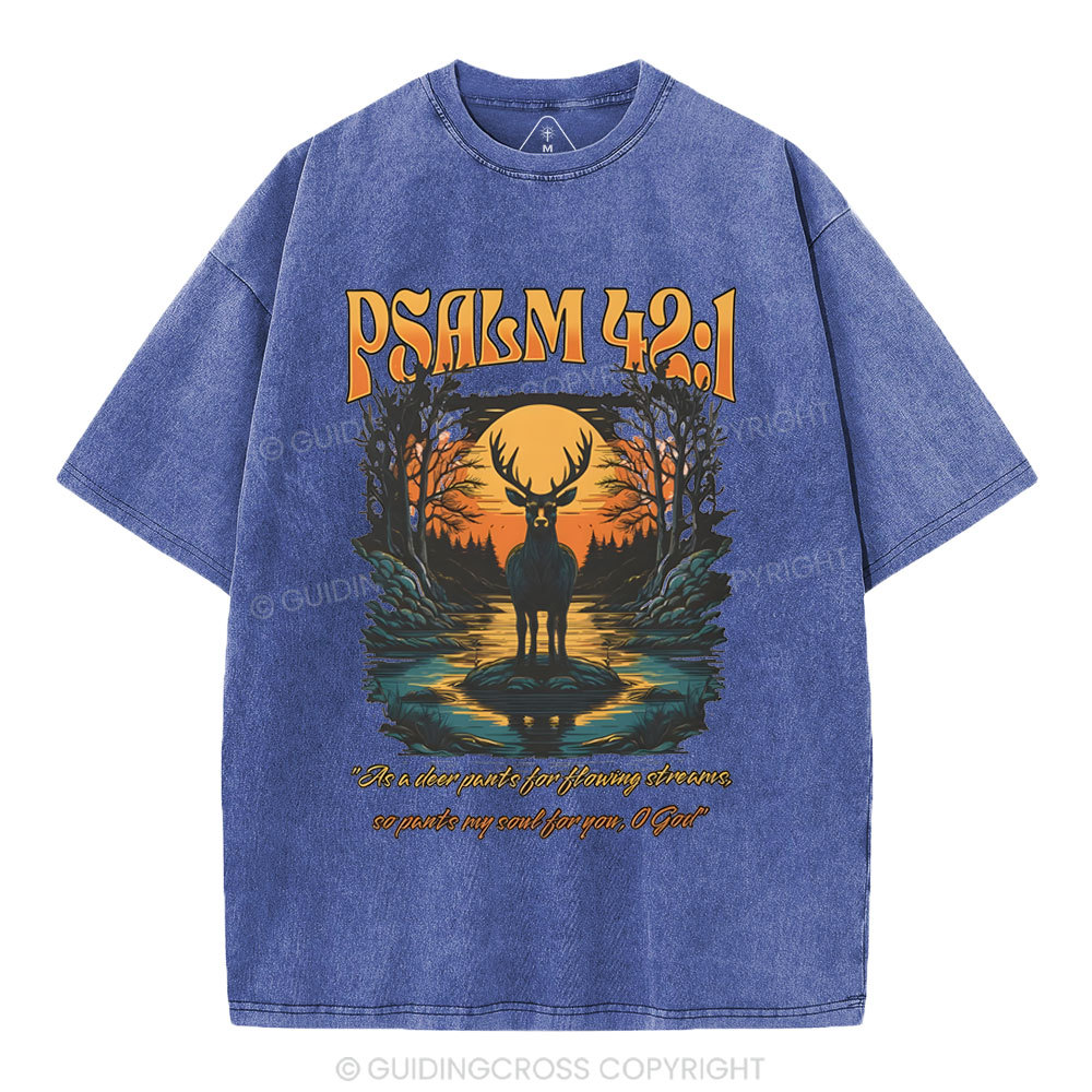 As A Deer Pants Chirstian Washed T-Shirt